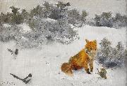 bruno liljefors, Fox in Winter Landscape